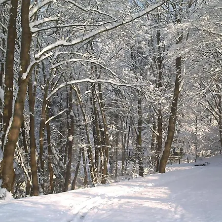 Guest house Padberg Winterberg
